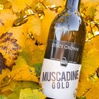 Muscadine Gold - View 3