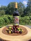 Red Muscadine - View 2