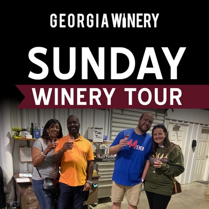 Sunday Winery Tour 1