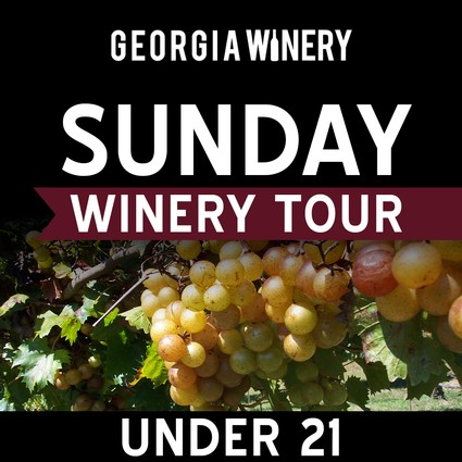 Sunday Under 21 Winery Tour 1