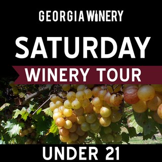 Saturday Under 21 Winery Tour