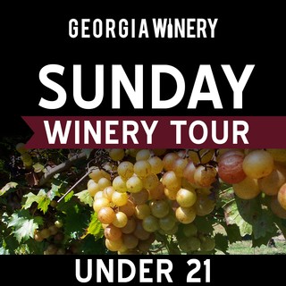 Sunday Under 21 Winery Tour